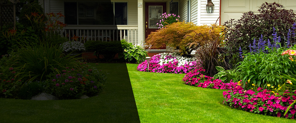 Orem Landscapers