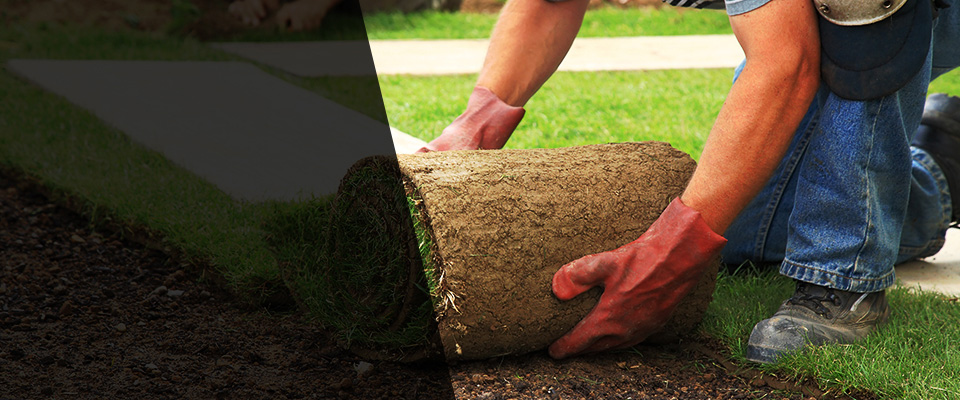 Orem Landscapers